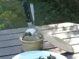 Recette Pâté de campagne