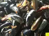 Recette Recette des moules à la plancha façon gallego