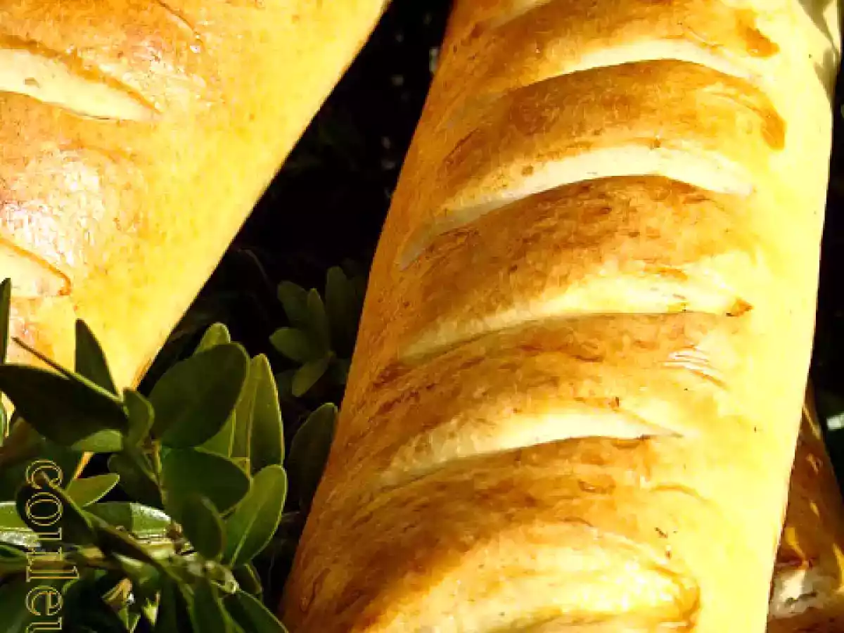 Baguettes viennoises (au thermomix) - photo 2