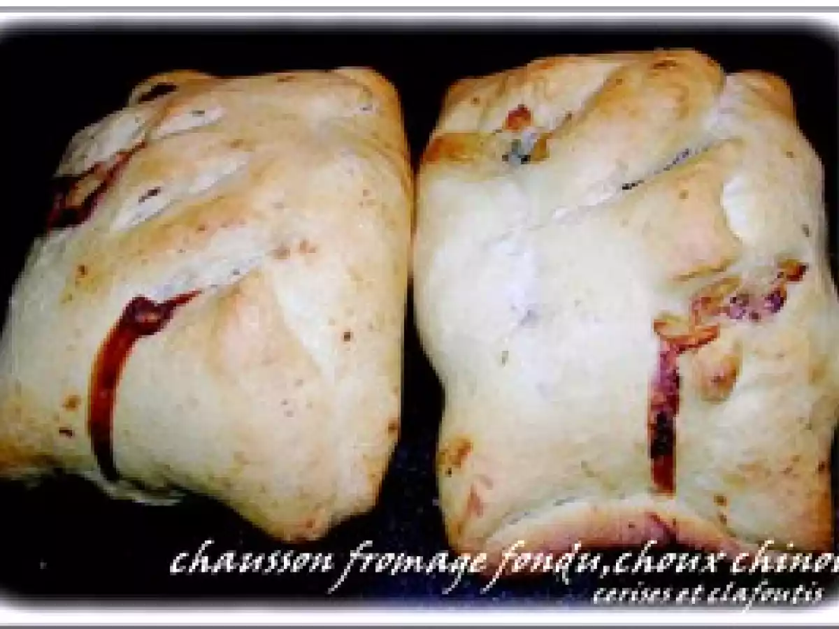 CHAUSSON AU FROMAGE FONDU, CHOUX CHINOIS ET CARVI - photo 3