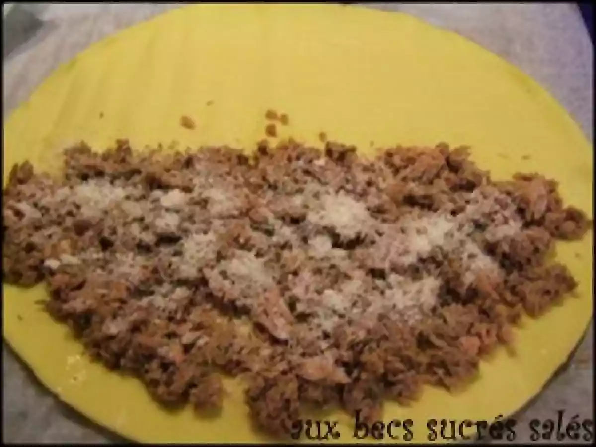Feuilletés thon, parmesan