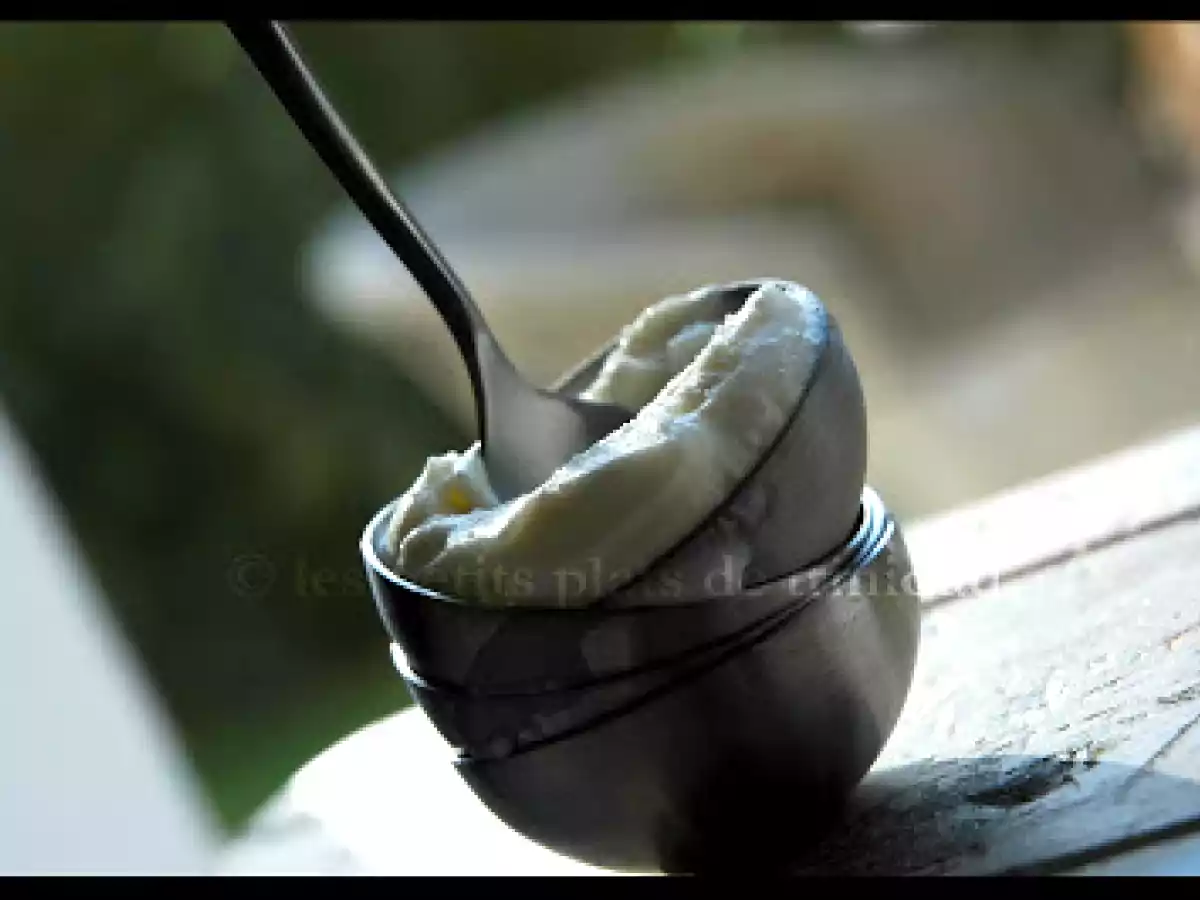 Lait glacé au lait d'amande (d'après C. Felder)