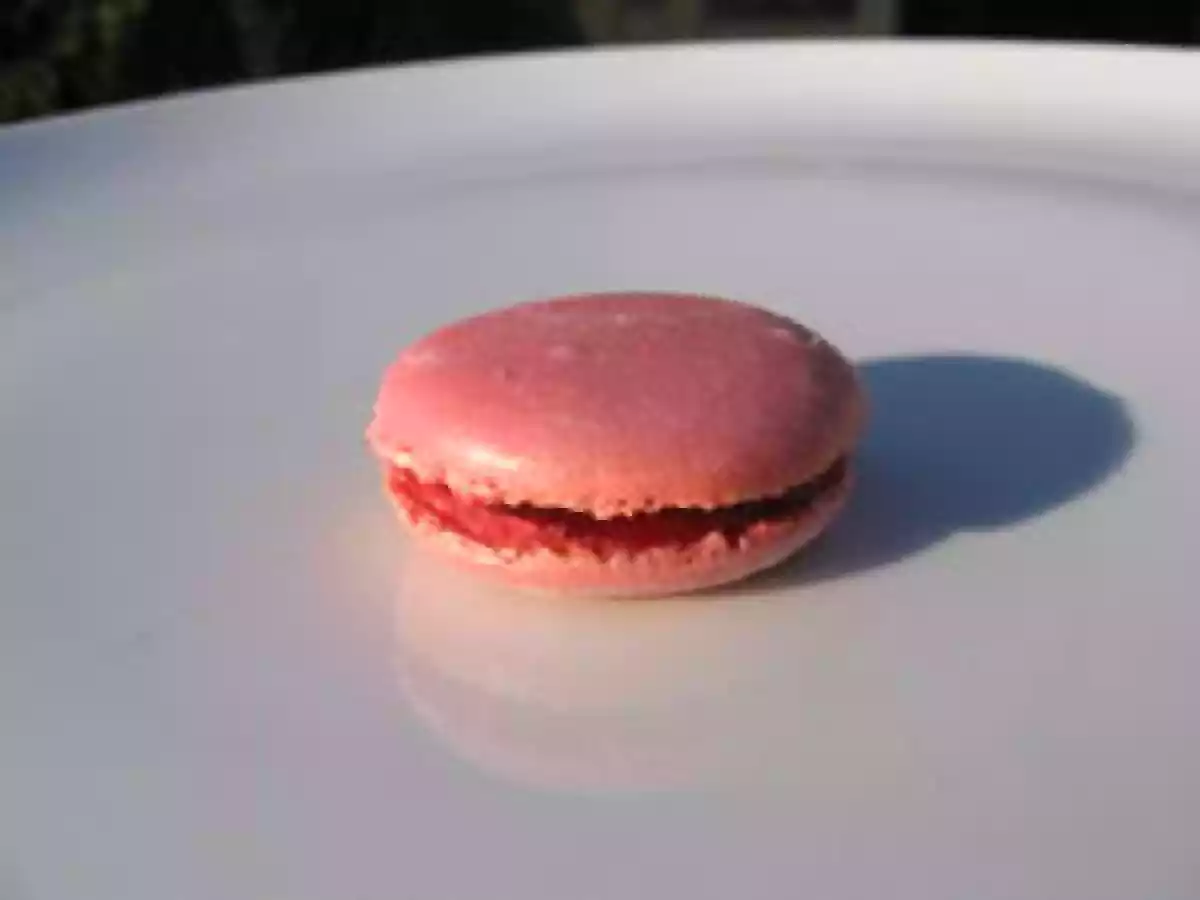 Macarons ispahan (framboise/rose) et Macarons à la vanille - photo 3