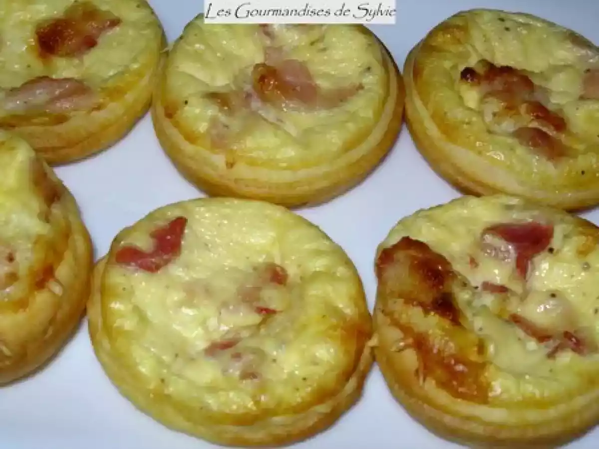 Mini-Quiches aux Lardons+toasts terrine de lapin+verrines de foie gras - photo 2