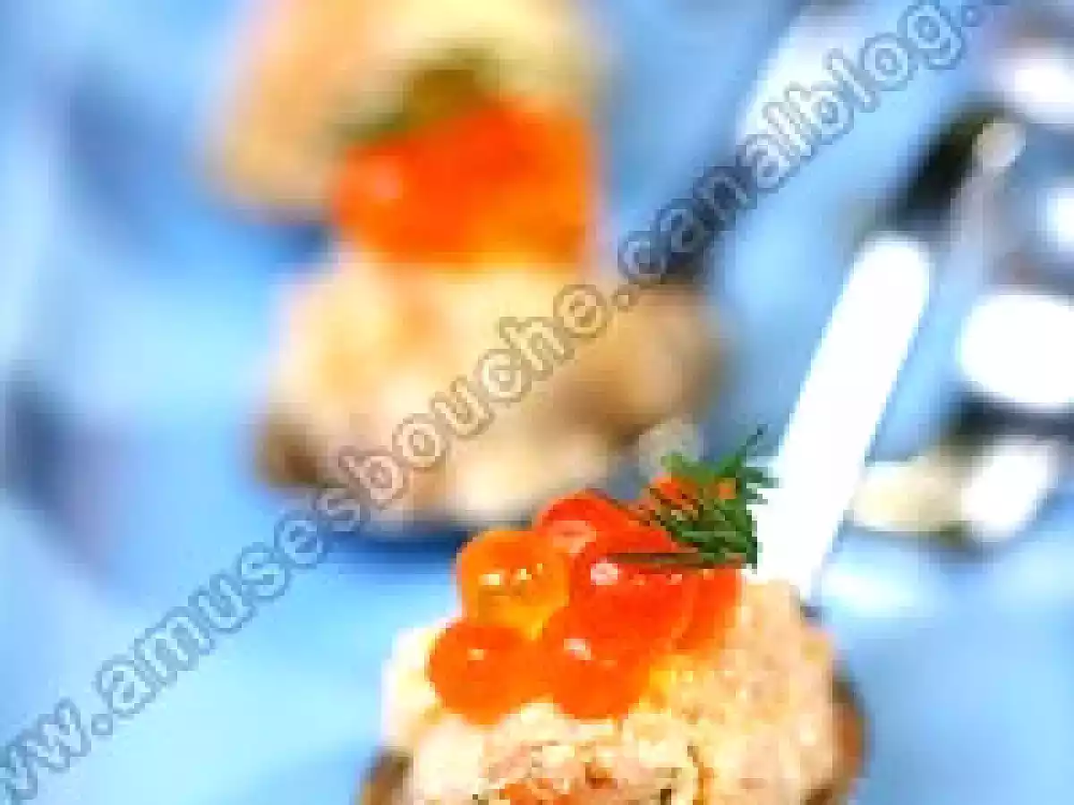 Mises en bouche de rillettes de saumon - photo 2