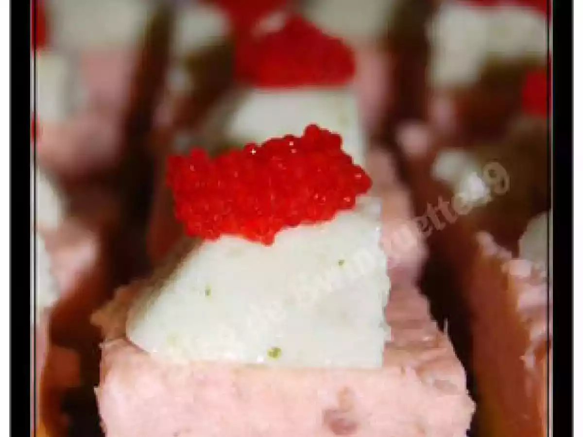MOUSSE DE SAUMON et CONCOMBRE sur BISCUIT SALE (de Cuisine Plurielle) - photo 2