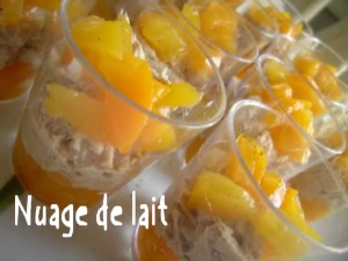 Verrine de Thon à la Pêche - photo 2