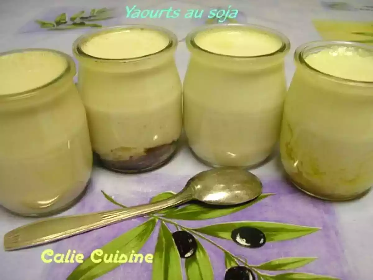 Yaourts au soja Maison !!! - photo 2