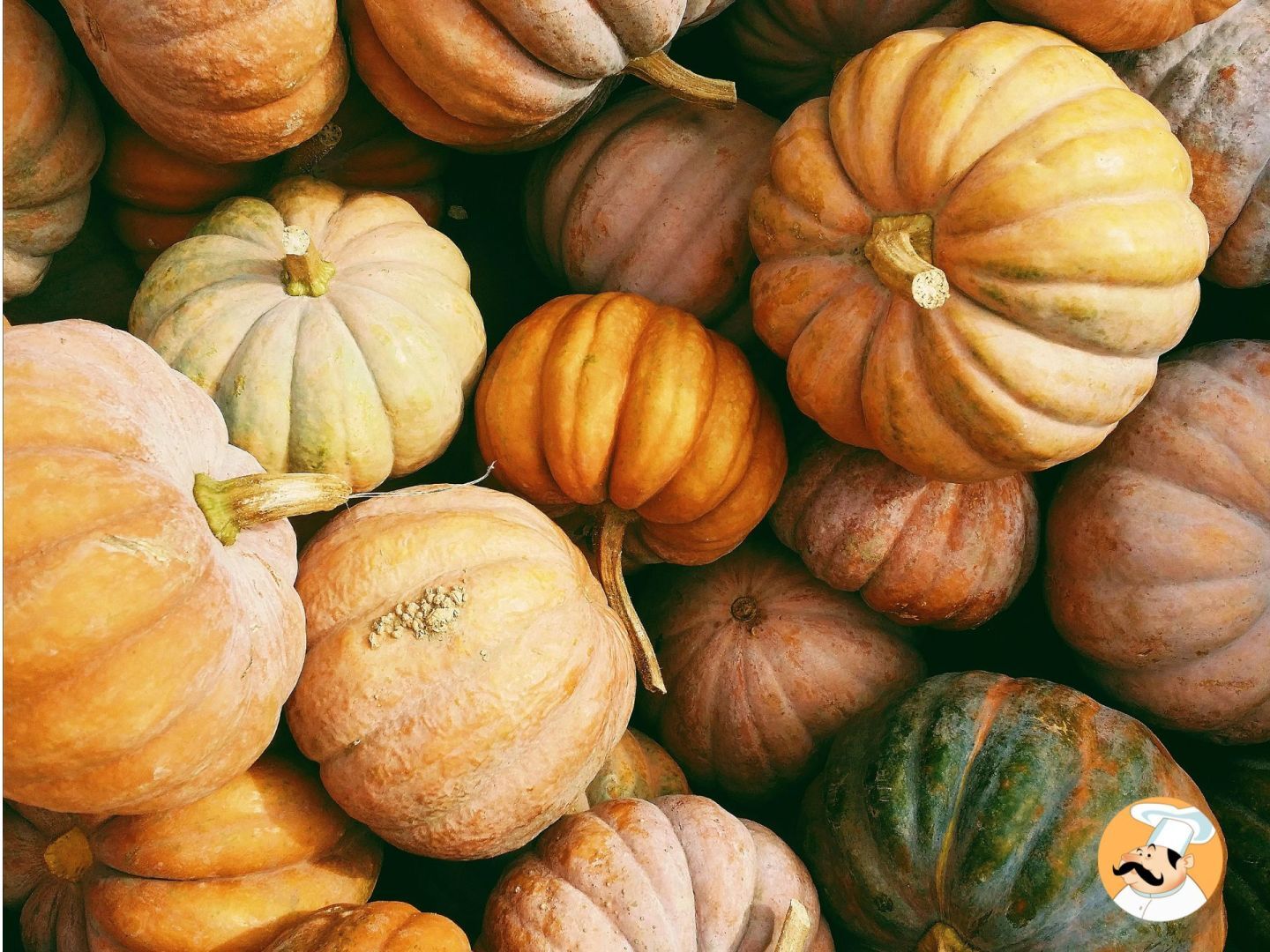 Attention, toutes les citrouilles ne se valent pas! Découvrez les différentes variétés et leurs utilisations en cuisine!