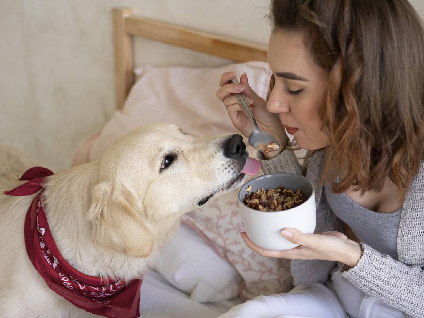 8 aliments à ne surtout pas donner à votre chien!