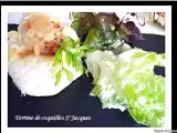 Recette Terrine de coquilles st jacques