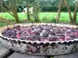 Recette Tarte aux mûres et aux noisettes