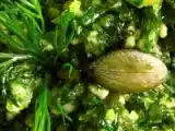 Recette Pesto d'aneth aux graines de courge