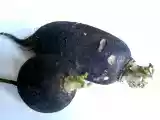 Recette Que faire avec du radis noir ?