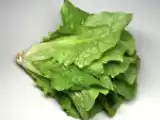 Recette La laitue romaine