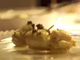 Recette Sole au champagne et caviar noir