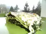 Recette Lasagne alla fiorentina (epinards, saumon, ricotta)