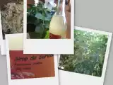 Recette Sirop de sureau
