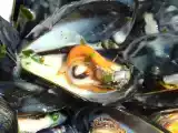 Recette Moules à l'estragon