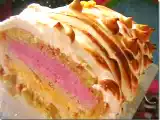 Recette Gâteau glacé fraise/pêche