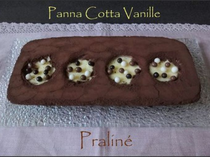 Entremets Avec Chocolat Vanille 7 Recettes Sur Ptitchef 5882