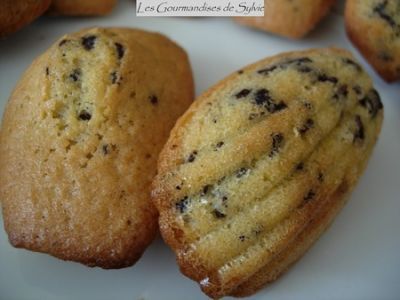 Recette Madeleines au citron et aux pépites de chocolat