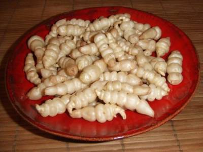 Recette Poêlée de crosnes croquants à l'ail et la coriandre