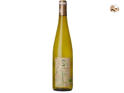 La Cave du Roi Dagobert présente son Riesling Bio 2015.