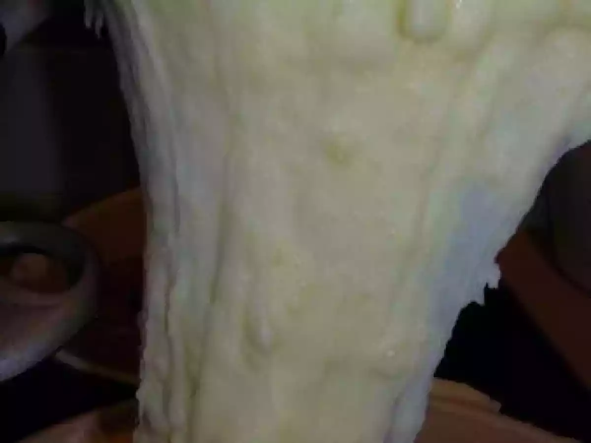 Aligot - Auvergne - photo 2