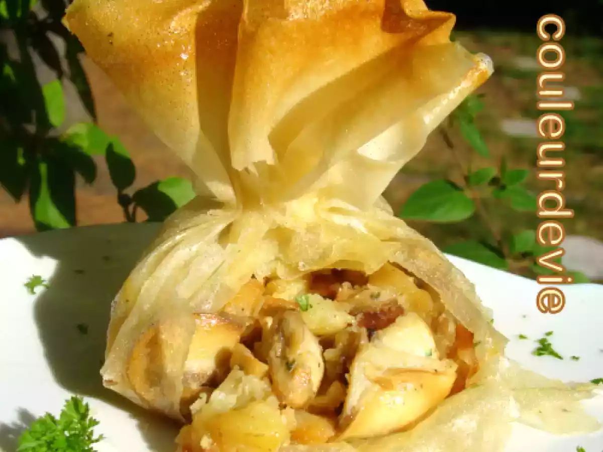 Aumônières forestières - photo 2