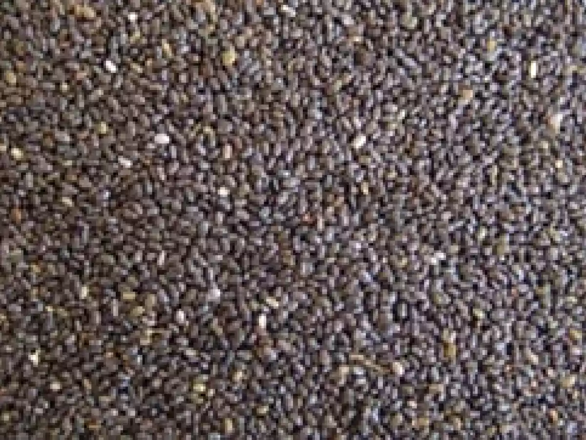 Boisson aux graines de chia - photo 2