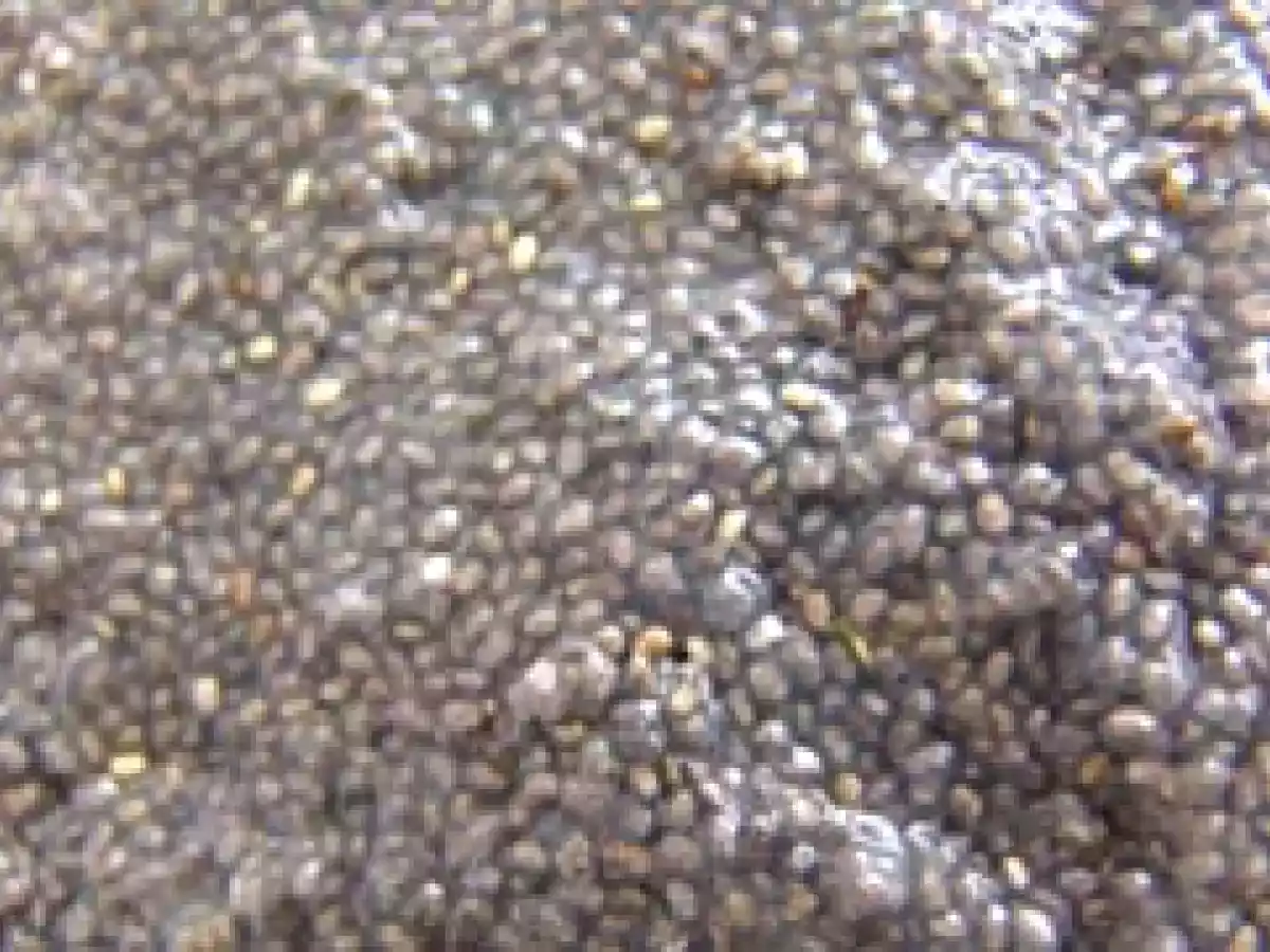 Boisson aux graines de chia - photo 3