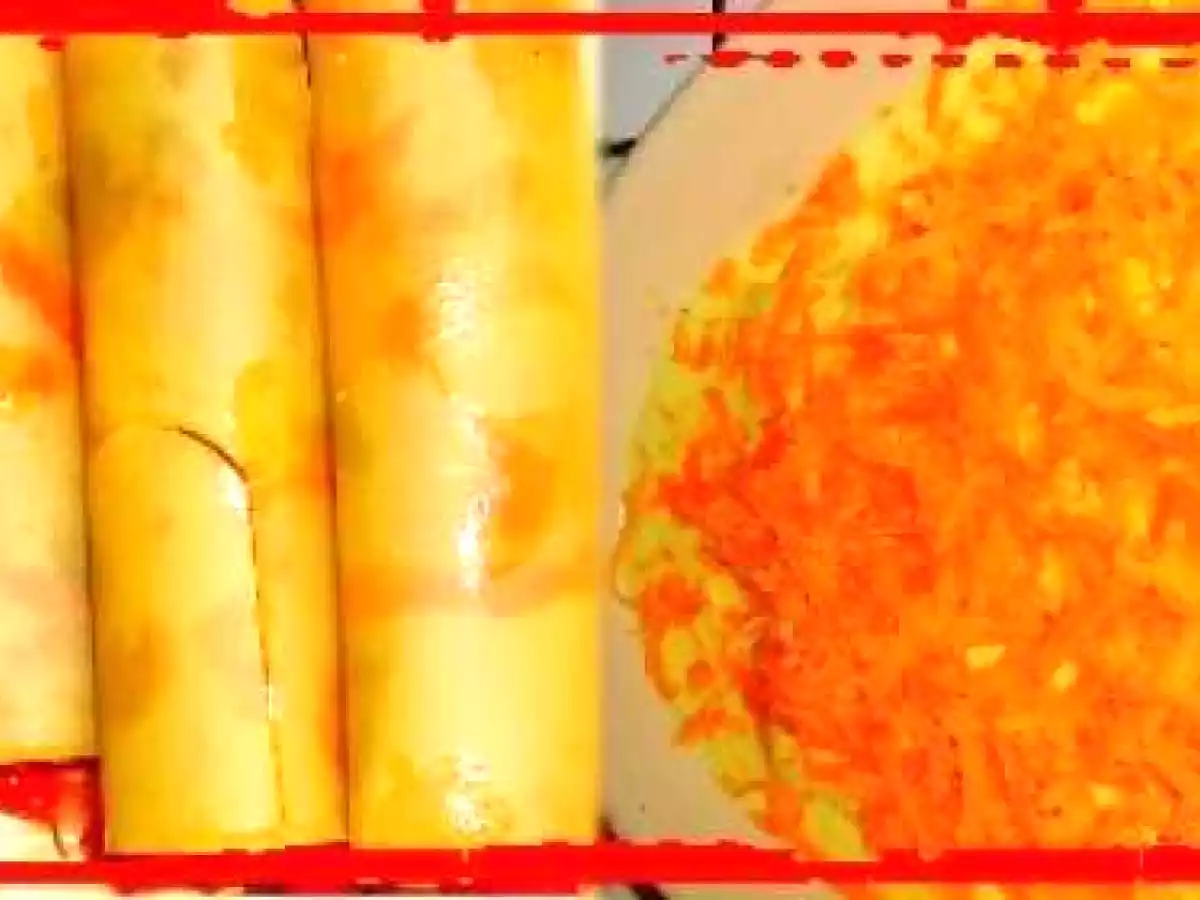 Cannelloni façon tacos - photo 6