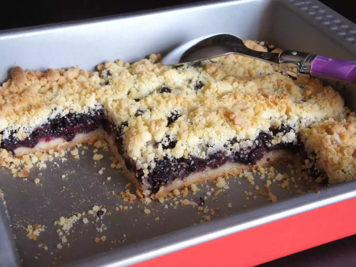 Carré à la mûre sauvage - photo 2