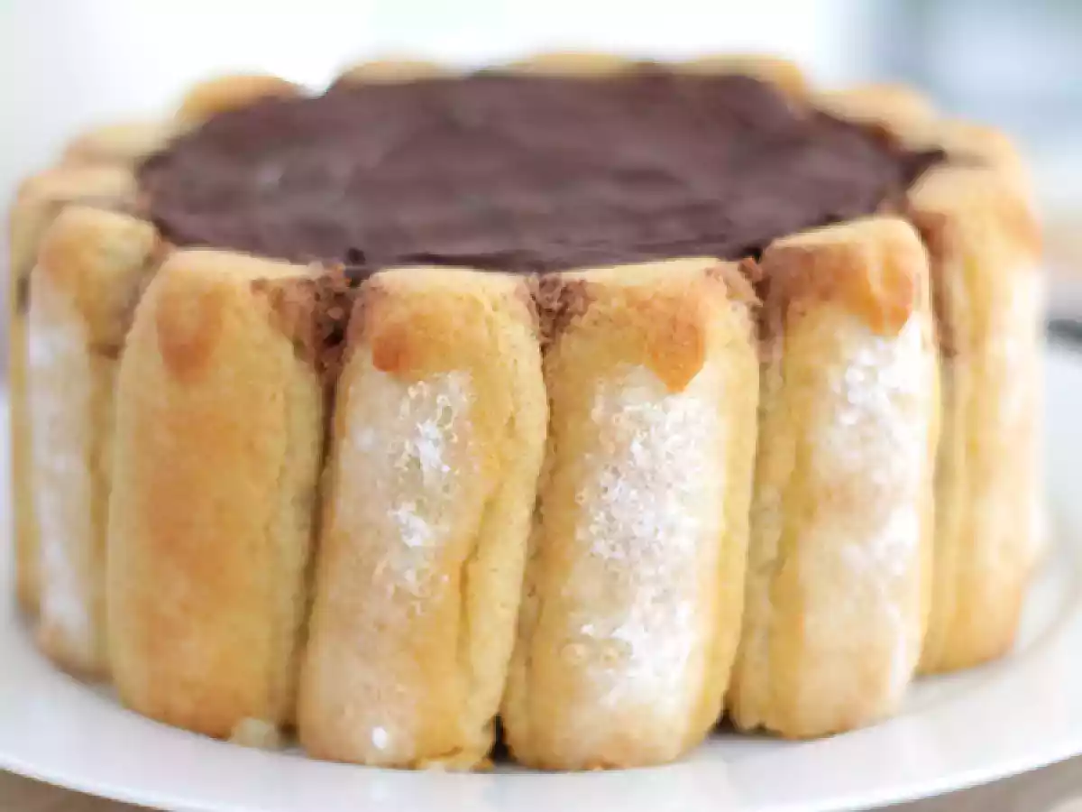 Charlotte au chocolat - photo 2