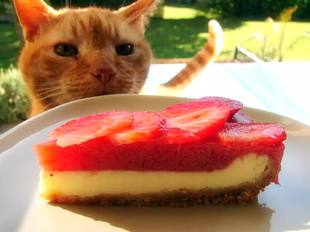 Cheesecake aux fraises - photo 2