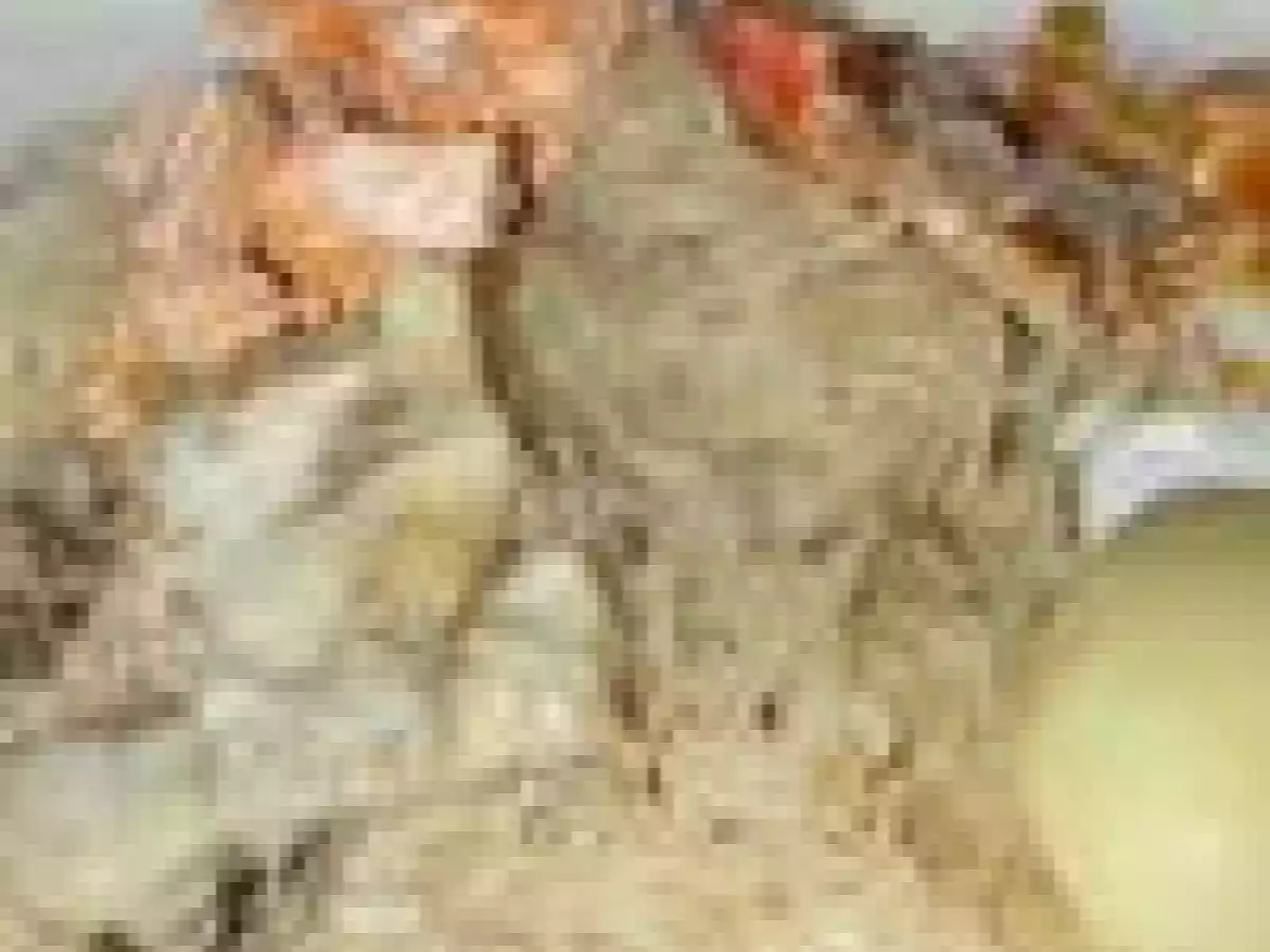 Choucroute de la mer