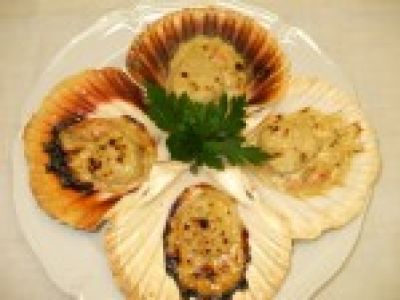 Coquilles Saint Jacques Gratinées