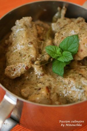 Poudre de curry avec coriandre et menthe – Pit&Pit