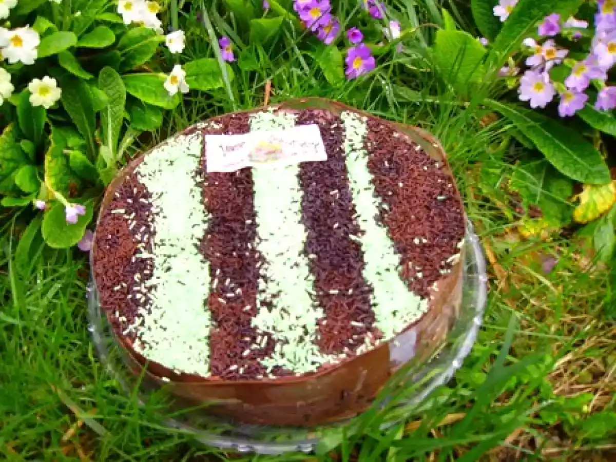 ENTREMET CHOCOLAT PISTACHE