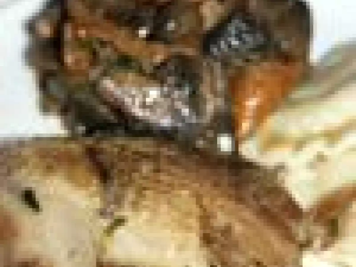 Faisan en cocotte au Porto