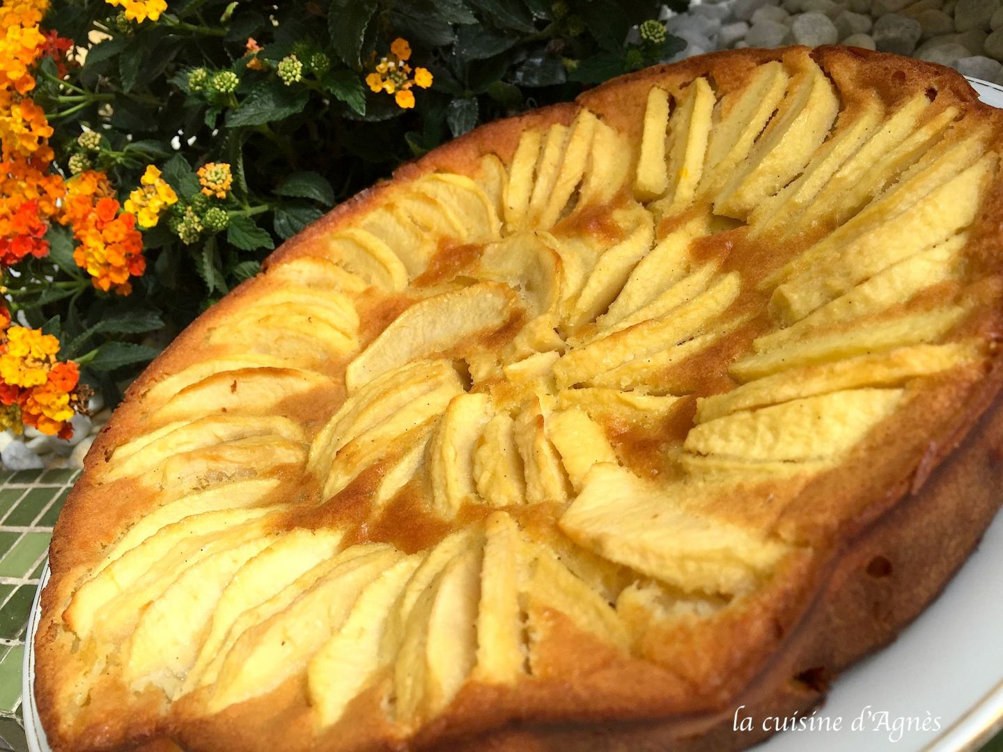 Flognarde Aux Pommes Et Au Rhum Recette Ptitchef