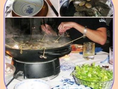 Quel appareil choisir pour votre fondue chinoise ?
