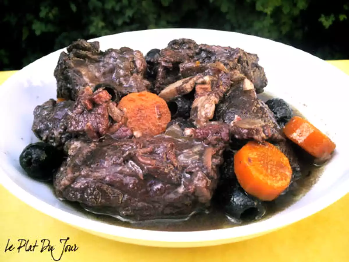 Gardiane de taureau - photo 3