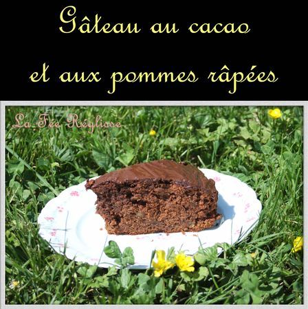 Gateau Au Cacao Et Aux Pommes Rapees Recette Ptitchef