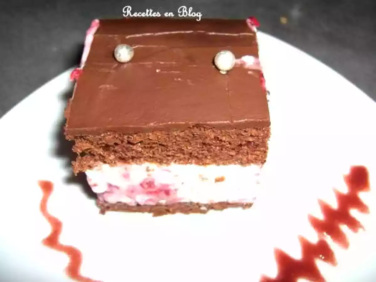 GATEAU AU CHOCOLAT NOIR BAVAROIS FRAMBOISE - photo 2