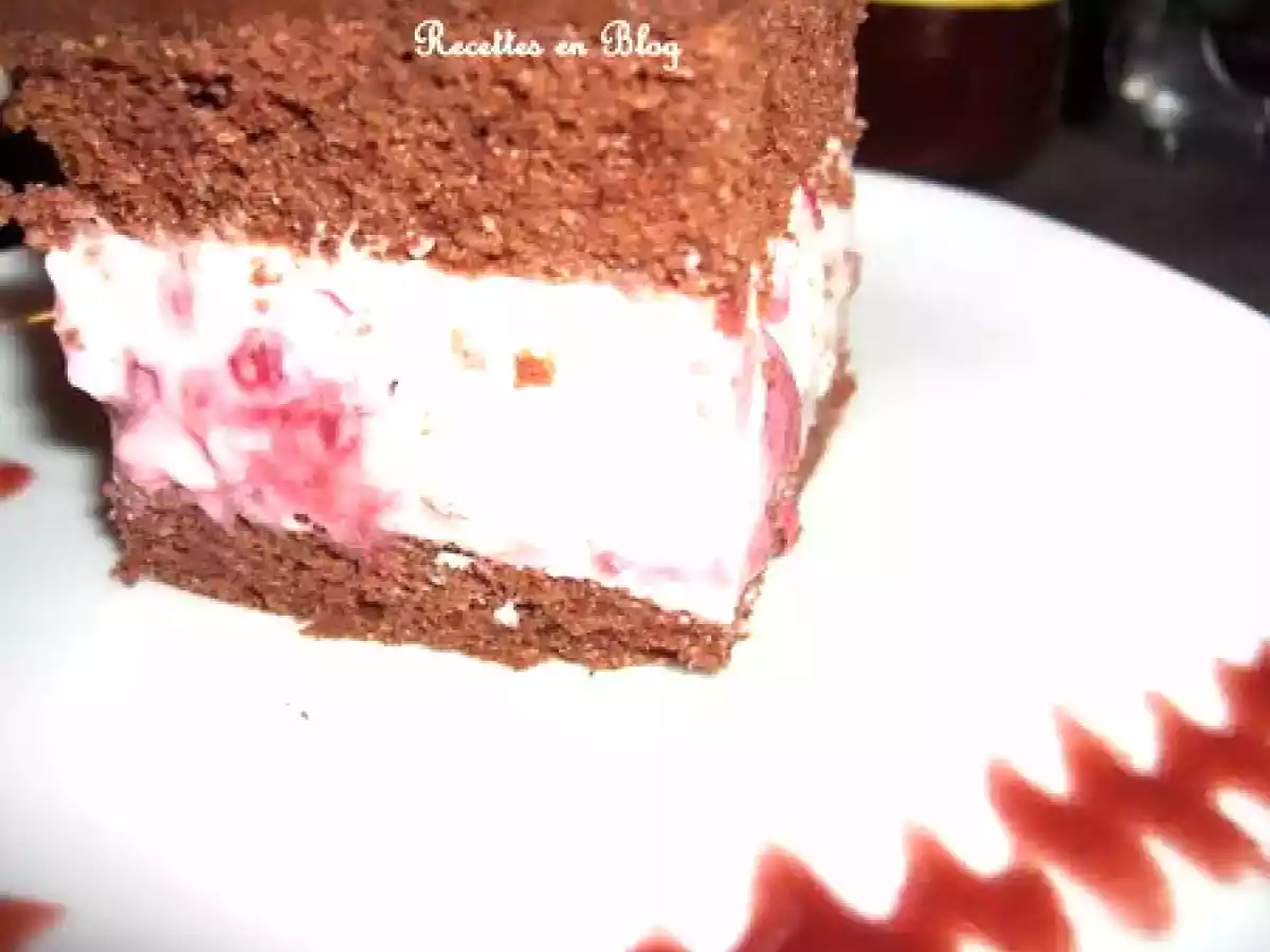 GATEAU AU CHOCOLAT NOIR BAVAROIS FRAMBOISE - photo 3