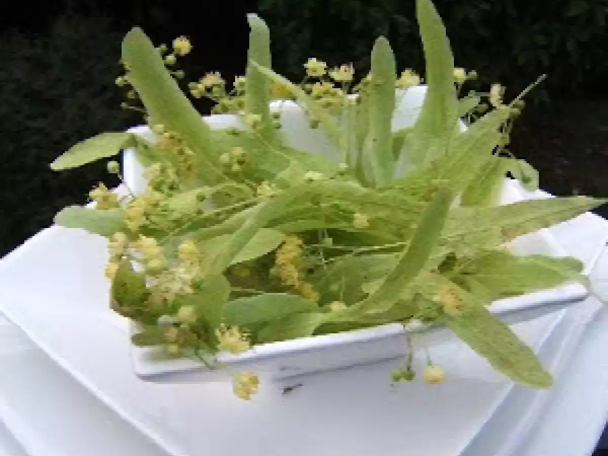 Gelée au tilleul - photo 3