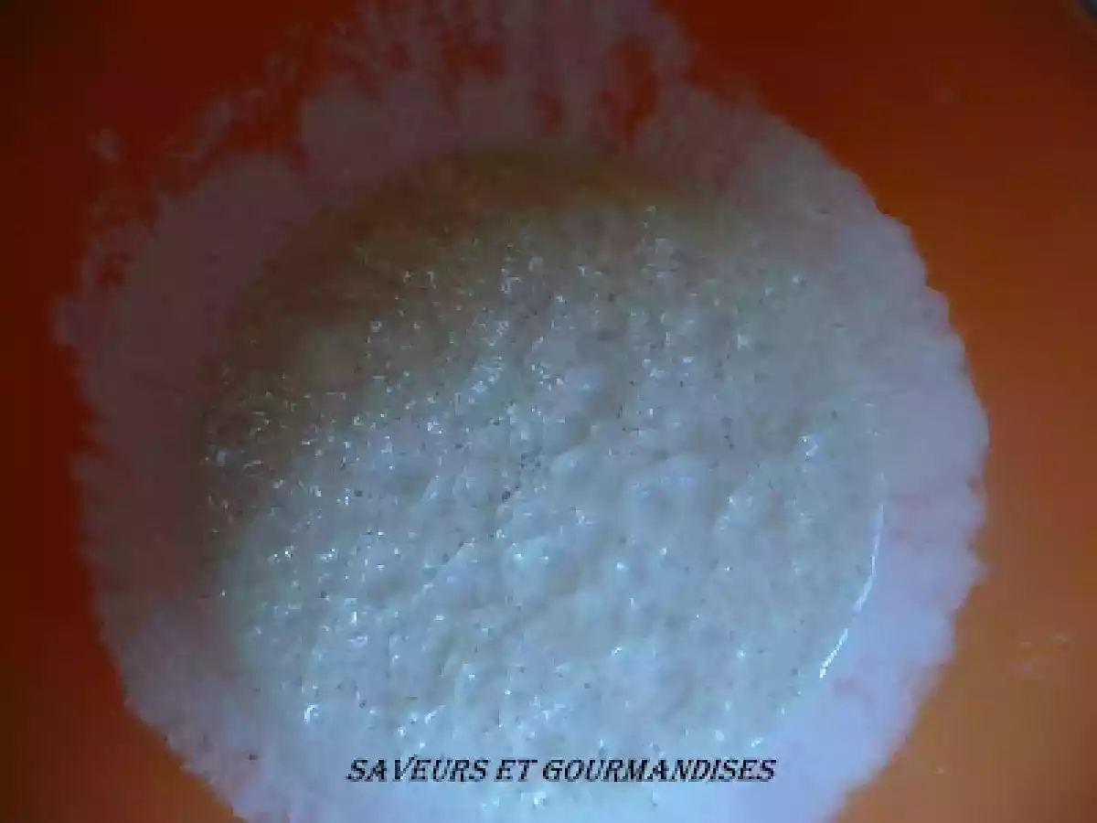 HALLA ou HALLOT. - photo 7