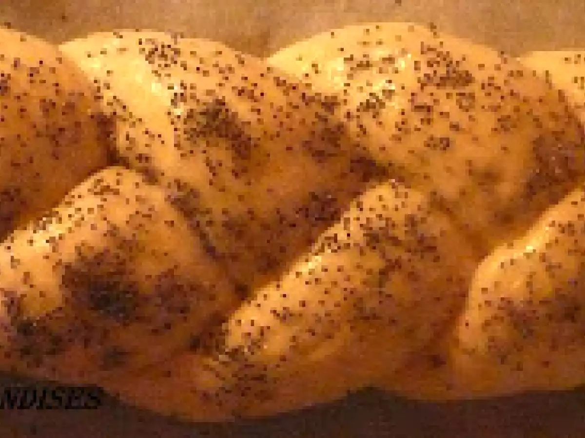 HALLA ou HALLOT. - photo 13